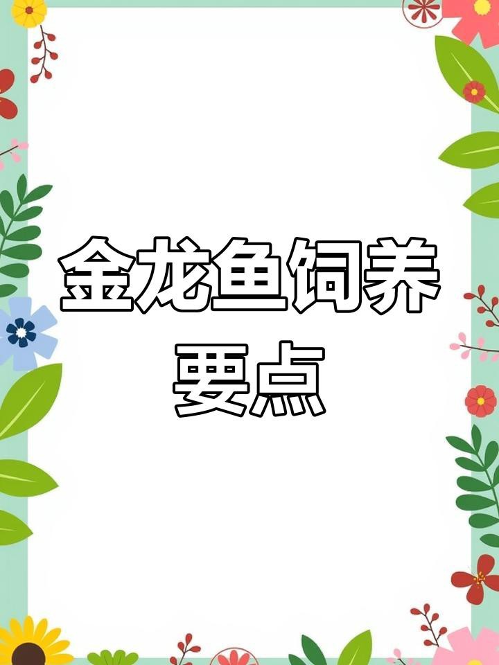 如何科學飼養金頭過背金龍魚？，金頭過背金龍魚的科學飼養方法