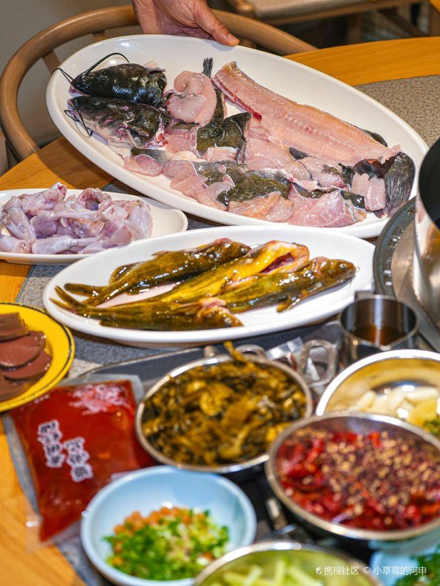 鹽都龍魚店，“鹽都龍魚店”鹽都龍魚店哪家口碑最好鹽都龍魚店