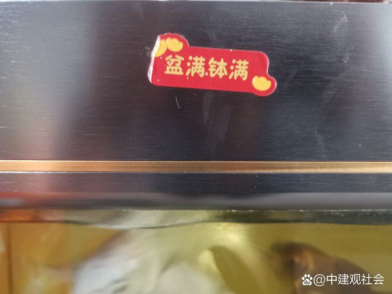 高陵魚缸店，西安市高陵區多瑞多鑫魚缸花卉館名錄集做生意店為啥要養魚