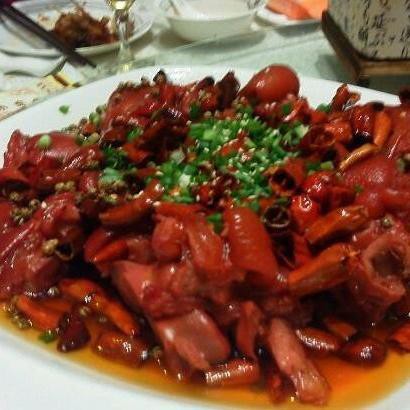 濟南市中龍魚店，濟南哪里可以買到龍魚