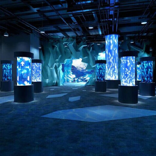 渝中水族店，重慶市渝中區(qū)多彩水族館 渝中水族店，重慶市渝中區(qū)多彩水族館 全國水族館企業(yè)名錄 第7張