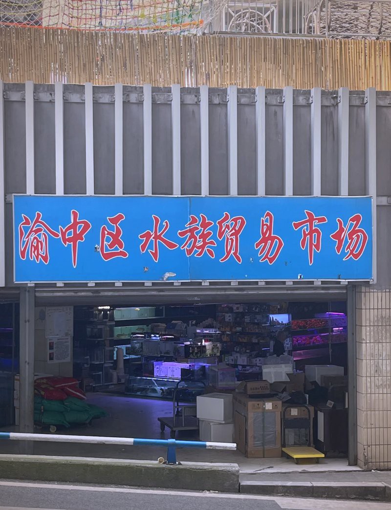 渝中水族店，重慶市渝中區(qū)多彩水族館
