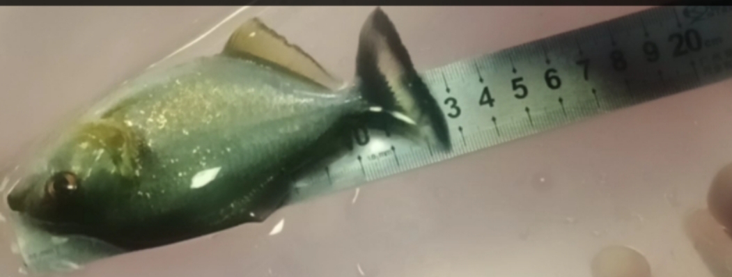 ，可以生成一段300-400字的摘要嗎？