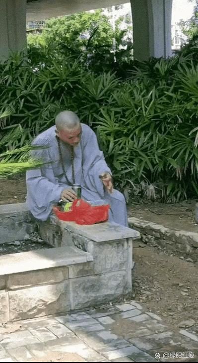 和尚圖片搞笑，和尚圖片以其獨(dú)特的搞笑風(fēng)格引發(fā)廣泛關(guān)注，充滿創(chuàng)意的場景設(shè)計