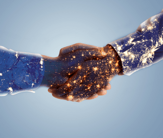 滄州水族店，滄州有哪些水族店？