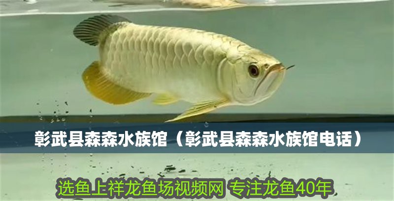 彰武水族店，彰武縣森森水族館