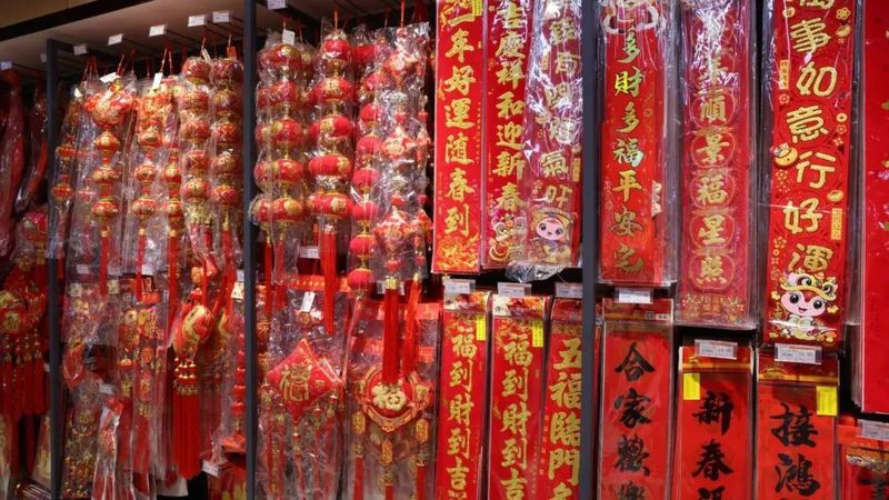 濂溪水族店，濂溪區本草缸木水族館