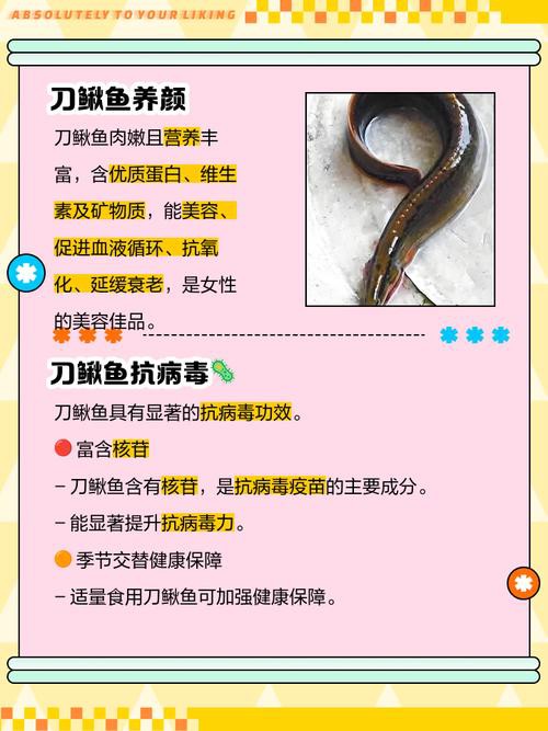 刀鰍魚圖片,廣西男子釣上巨型刀鰍魚,比嬰兒手臂還長,刀鰍魚能長這么大 龍魚論壇 第24張 刀鰍魚圖片,廣西男子釣上巨型刀鰍魚,比嬰兒手臂還長,刀鰍魚能長這么大 刀鰍魚圖片,廣西男子釣上巨型刀鰍魚,比嬰兒手臂還長,刀鰍魚能長這么大 龍魚論壇 第24張