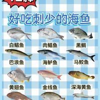 十大無(wú)刺魚排名海魚，十大無(wú)刺海魚營(yíng)養(yǎng)與營(yíng)養(yǎng)價(jià)值和烹飪藝術(shù)選購(gòu)指南
