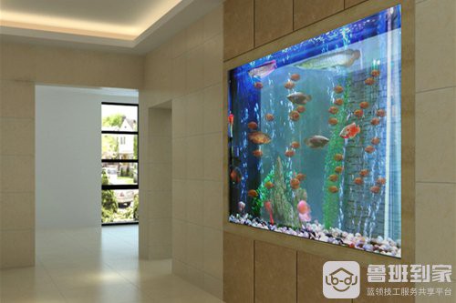 養(yǎng)魚開缸窮三代，\