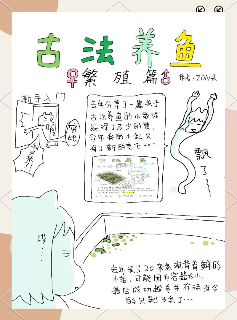 養(yǎng)魚開缸窮三代，\