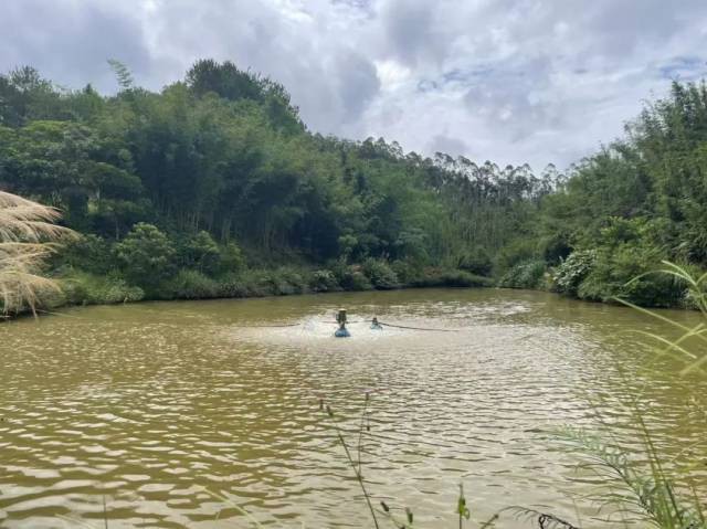 廣寧龍魚店，尋“味”記|排隊(duì)也要去!廣寧這家“走心”經(jīng)營的老店值得n刷