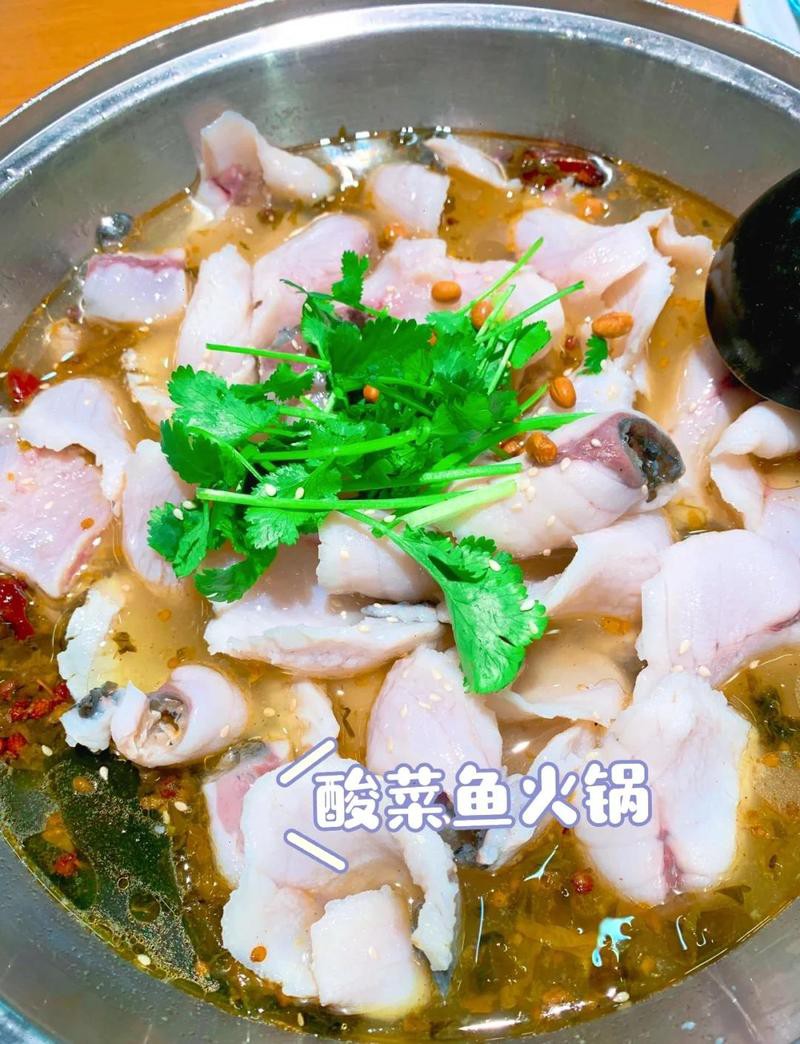 紅安龍魚店，紅安本地有龍魚店嗎