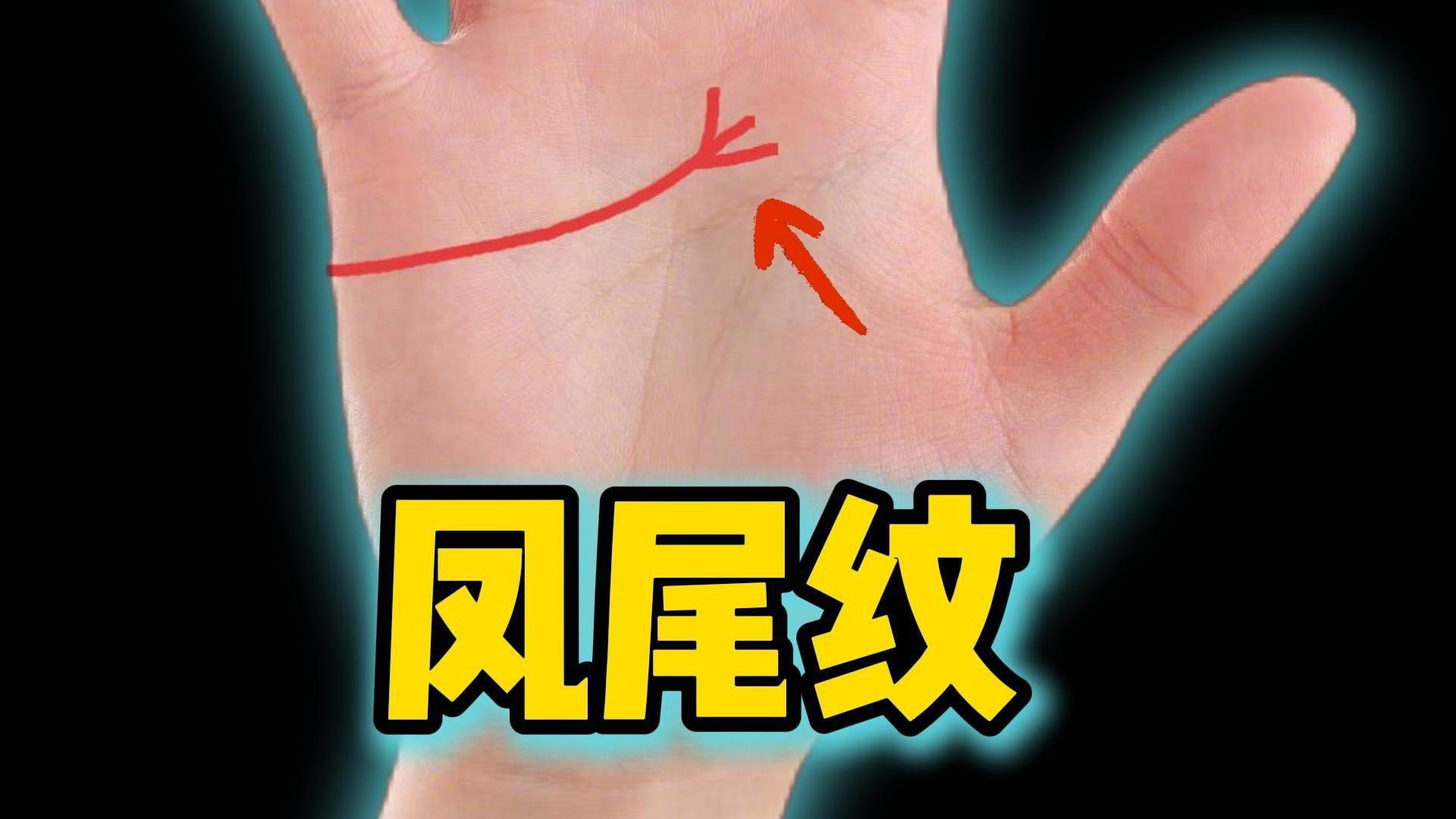 鳳尾紋和假鳳尾紋的區(qū)別，鳳尾紋與假鳳尾紋的區(qū)別