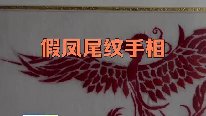 鳳尾紋和假鳳尾紋的區(qū)別，鳳尾紋與假鳳尾紋的區(qū)別
