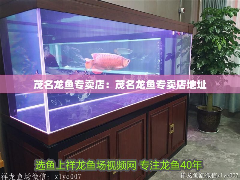 茂港龍魚店，茂港龍魚店有線上銷售嗎