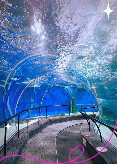 浦東水族店，上海浦東新區擁有多家特色水族店及場館