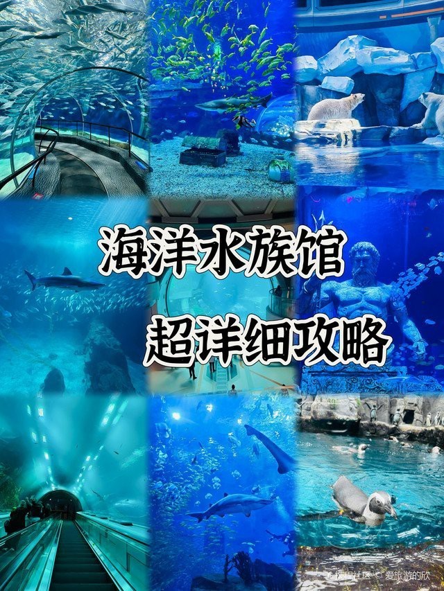 浦東水族店，上海浦東新區擁有多家特色水族店及場館