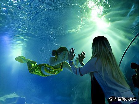 甘肅水族店，微游甘肅，探索蘭州極地海洋世界:海洋奇觀與樂趣共享!