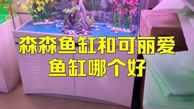 可麗愛魚缸用戶真實評價，可麗愛魚缸和森森魚缸哪個好