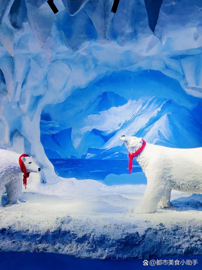 安慶水族店，安慶哪家水族店口碑最好