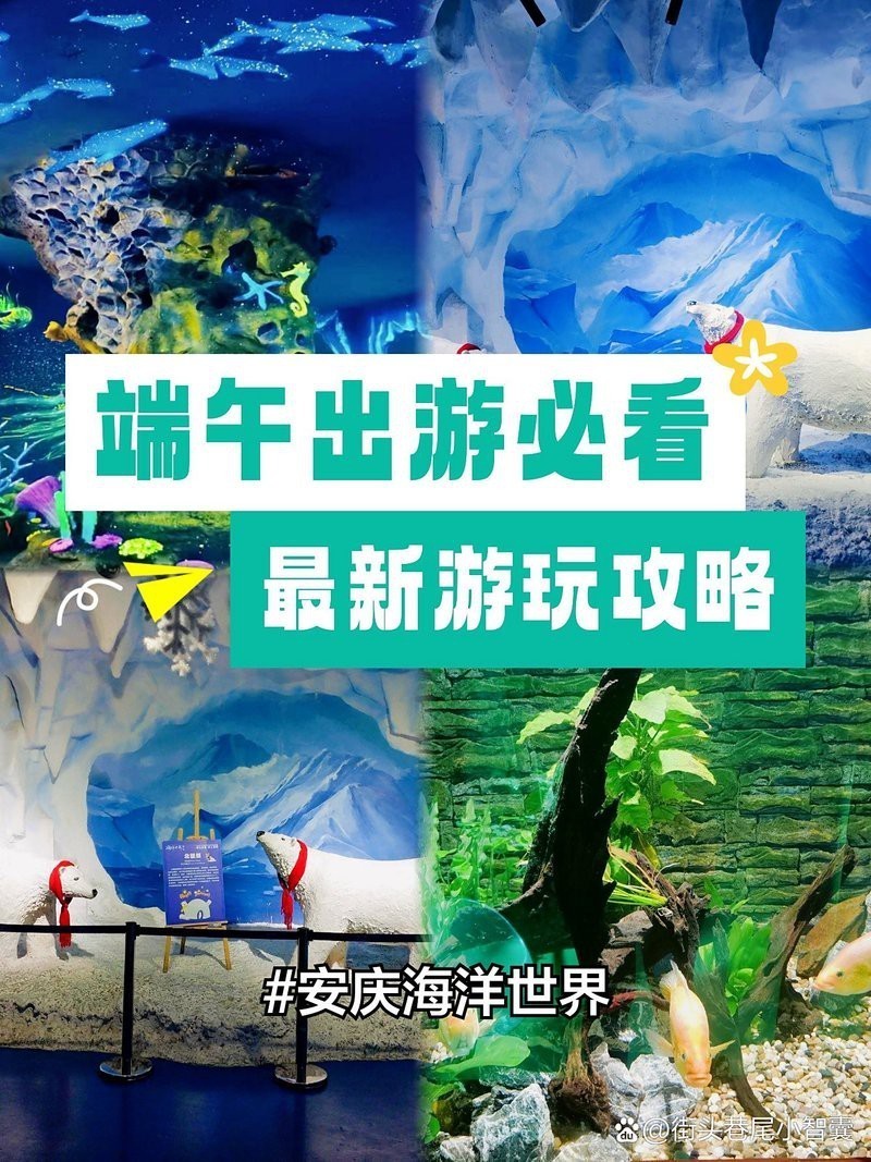 安慶水族店，安慶哪家水族店口碑最好