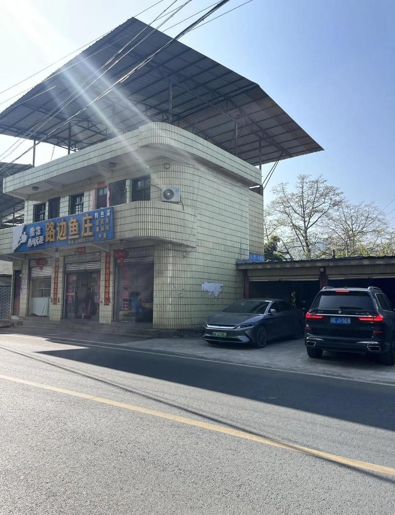 米易龍魚店，四川攀枝花市米易縣長興龍魚港鮮魚店有哪些特色產品