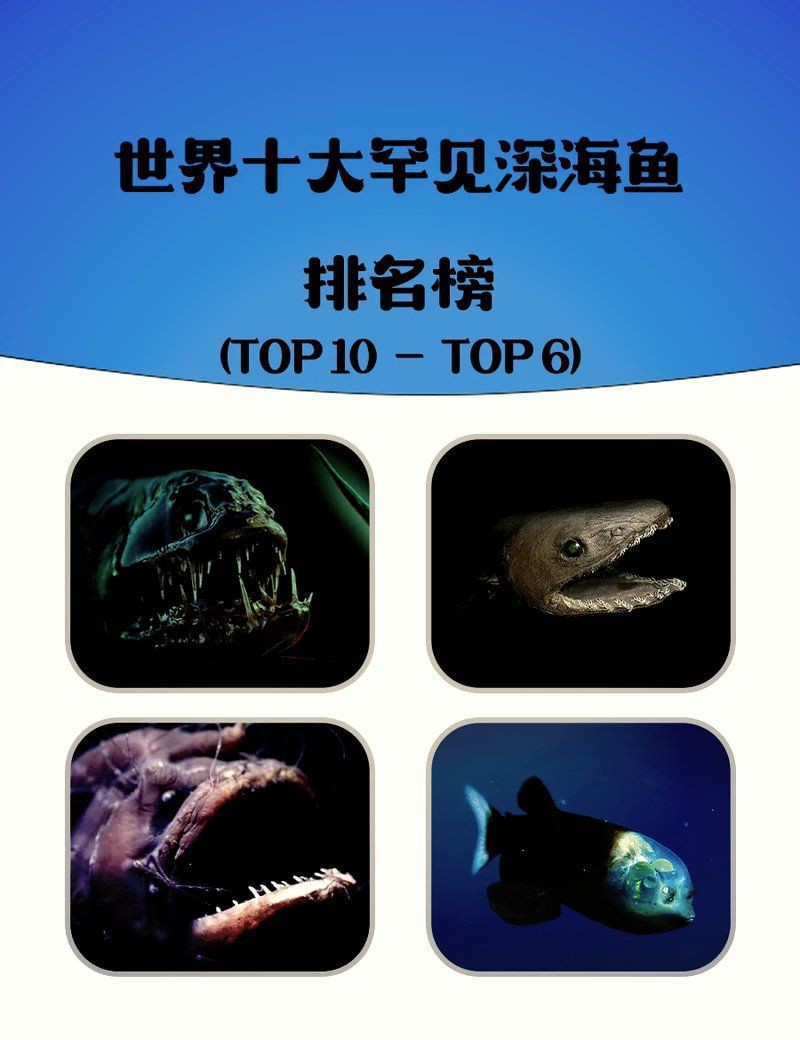 深海龍魚真實圖片，全球六大罕見深海魚