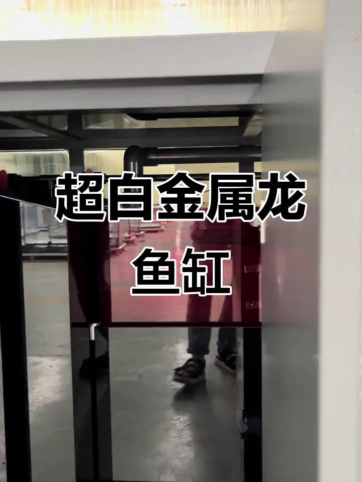 十大公認最好的龍魚缸，十大最佳龍魚缸品牌top10權威榜單出爐養魚愛好者必看指南
