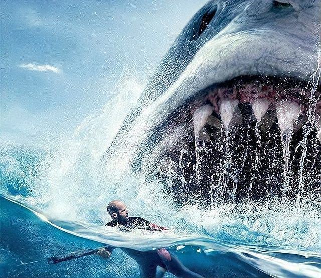 目前已知最大的大白鯊，世界上最大的大白鯊有多大？