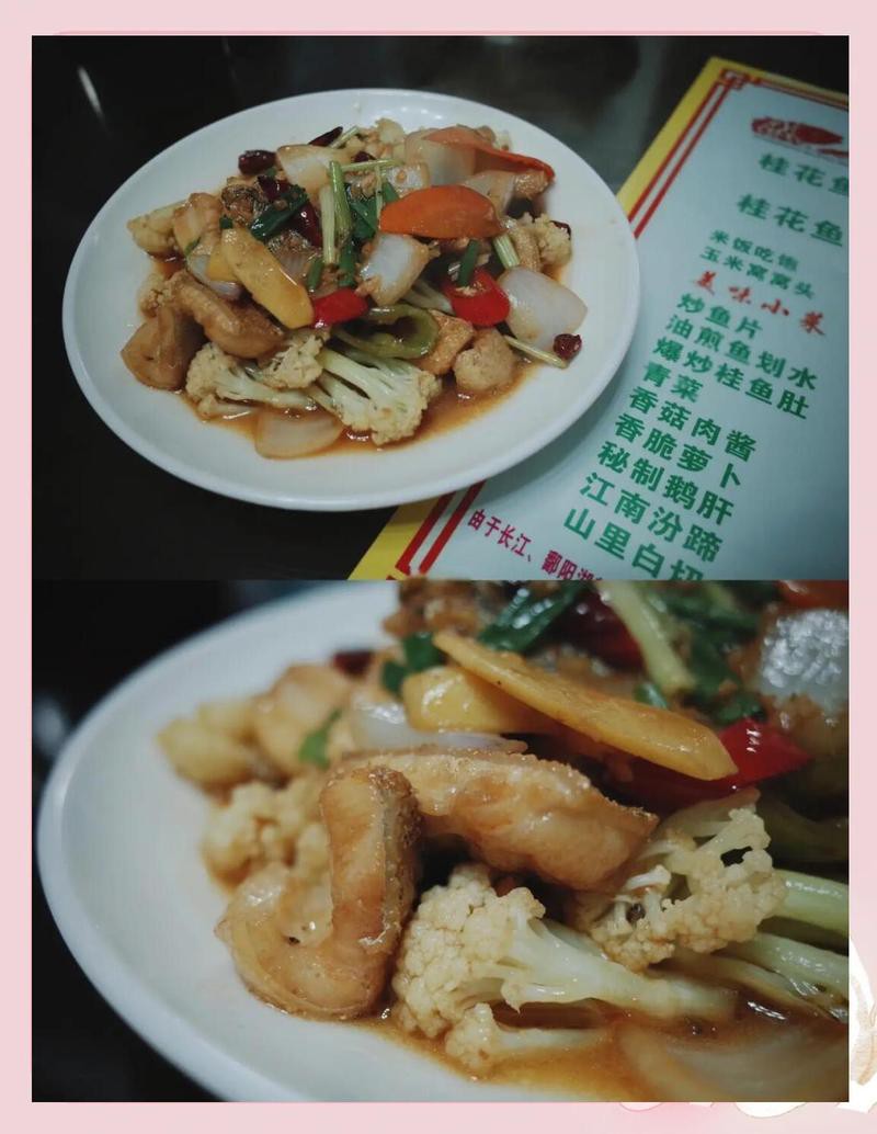 莆田龍魚店，莆田地區(qū)的龍魚相關(guān)店鋪呈現(xiàn)多樣化發(fā)展態(tài)勢(shì)
