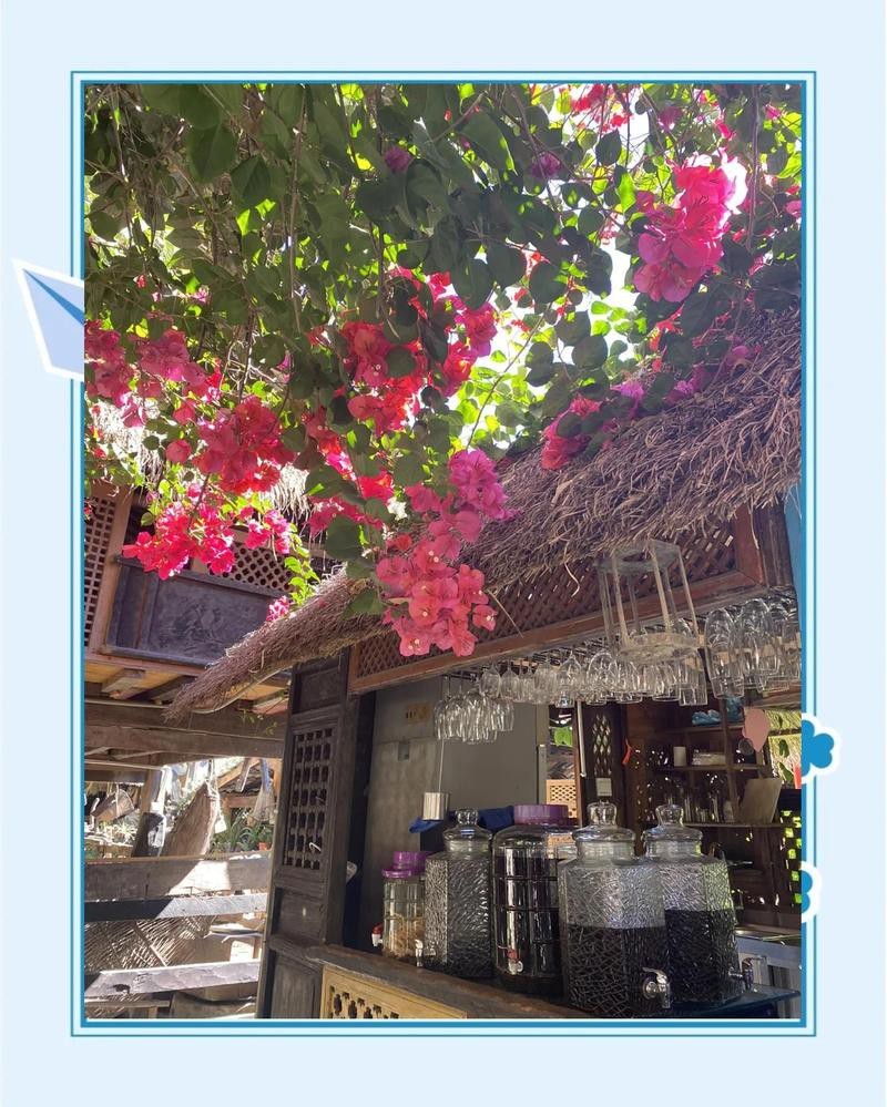 梁河龍魚店，梁河縣是否有水族館或龍魚店