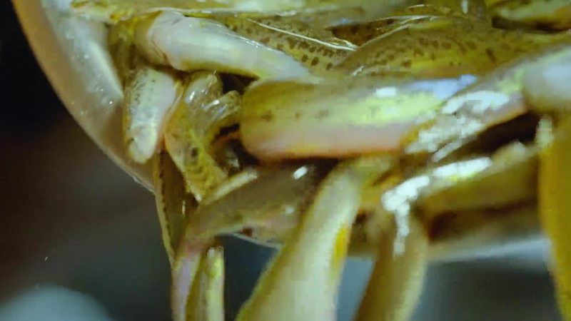 梁河龍魚店，梁河縣是否有水族館或龍魚店