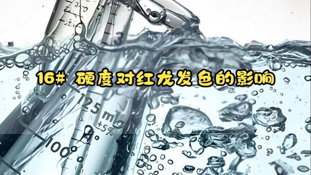 紅龍魚為什么最容易發(fā)色，紅龍魚為什么容易發(fā)色？