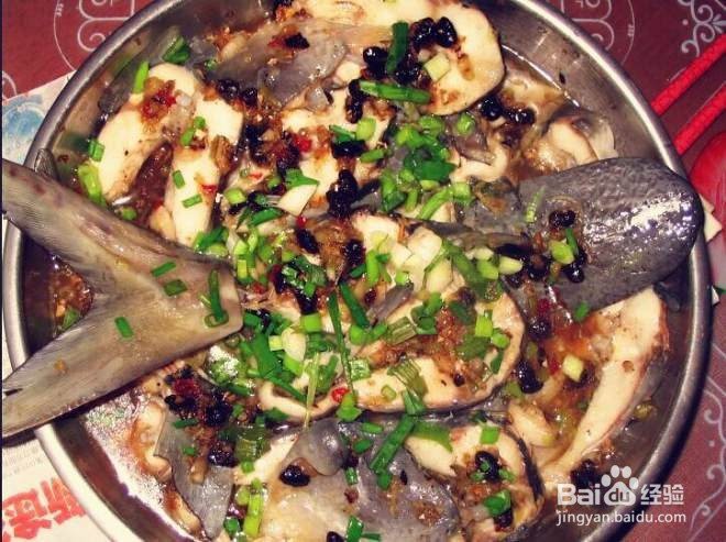 凍鴨嘴魚的家常做法大全，《凍鴨嘴魚的家常做法大全》