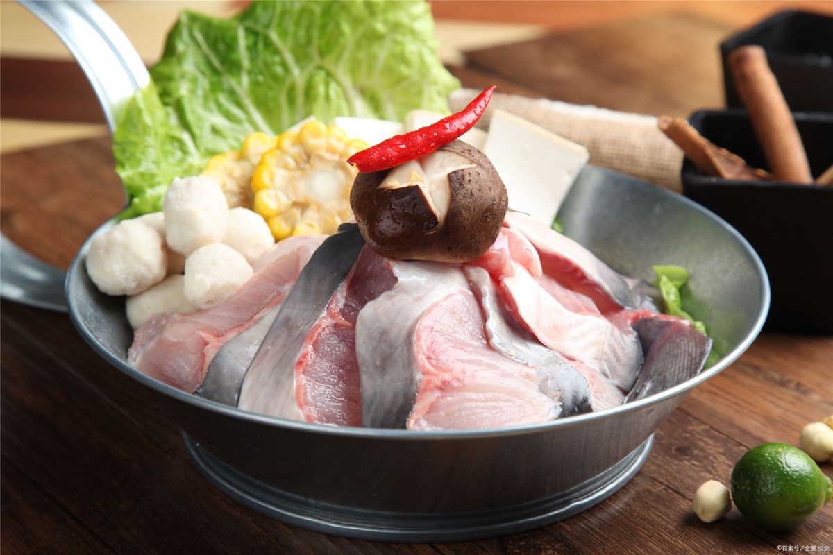 凍鴨嘴魚的家常做法大全，《凍鴨嘴魚的家常做法大全》