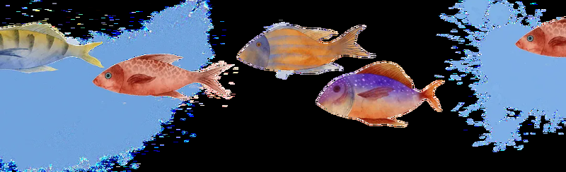 洞頭龍魚店，洞頭龍魚店的具體位置是多少 洞頭龍魚店，洞頭龍魚店的具體位置是多少 全國水族館企業(yè)名錄 第2張