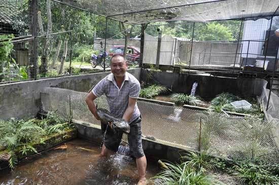 漢中水族批發市場，漢中市水族批發市場