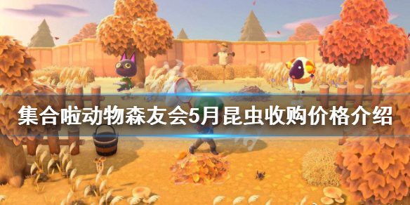 動森蝎子多少一只，《動物森友會》5月新昆蟲一覽