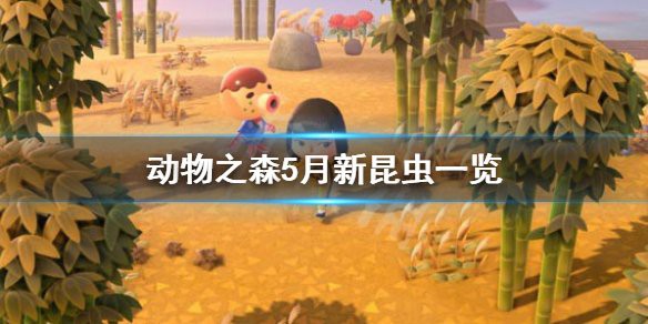 動森蝎子多少一只，《動物森友會》5月新昆蟲一覽