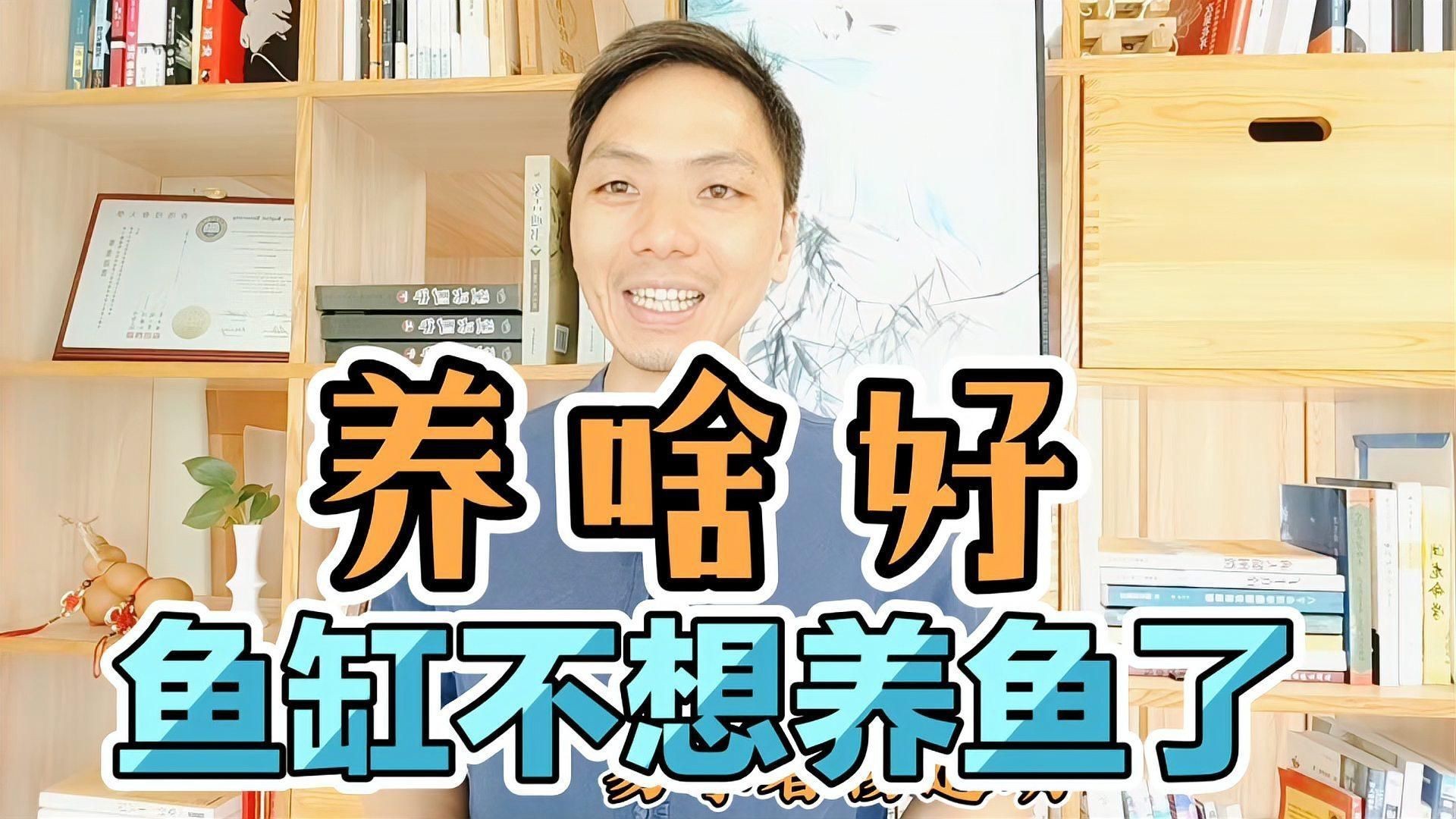 空魚缸放啥最旺財，空魚缸放什么最旺財