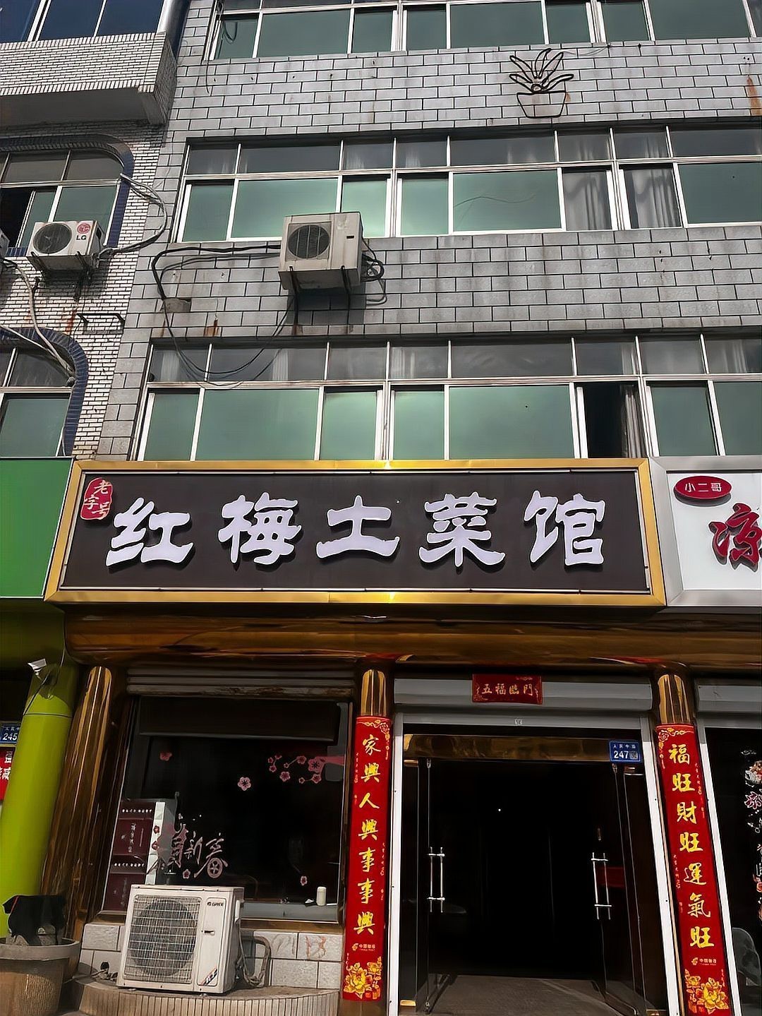 灌南龍魚店，灌南龍魚市場在哪里