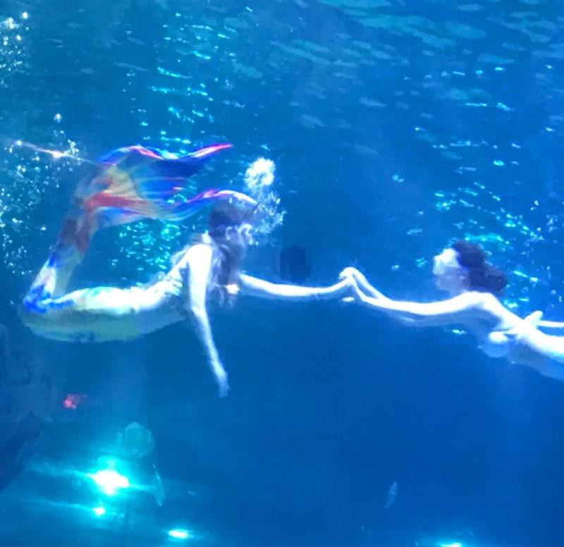 福安水族店，福安市奇美水族館愛企查,福安市長源水族館愛企查