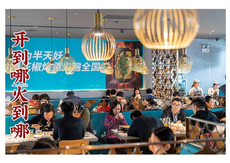 神池龍魚(yú)店，火爆全國(guó)600+門(mén)店神池龍魚(yú)店地址在哪里