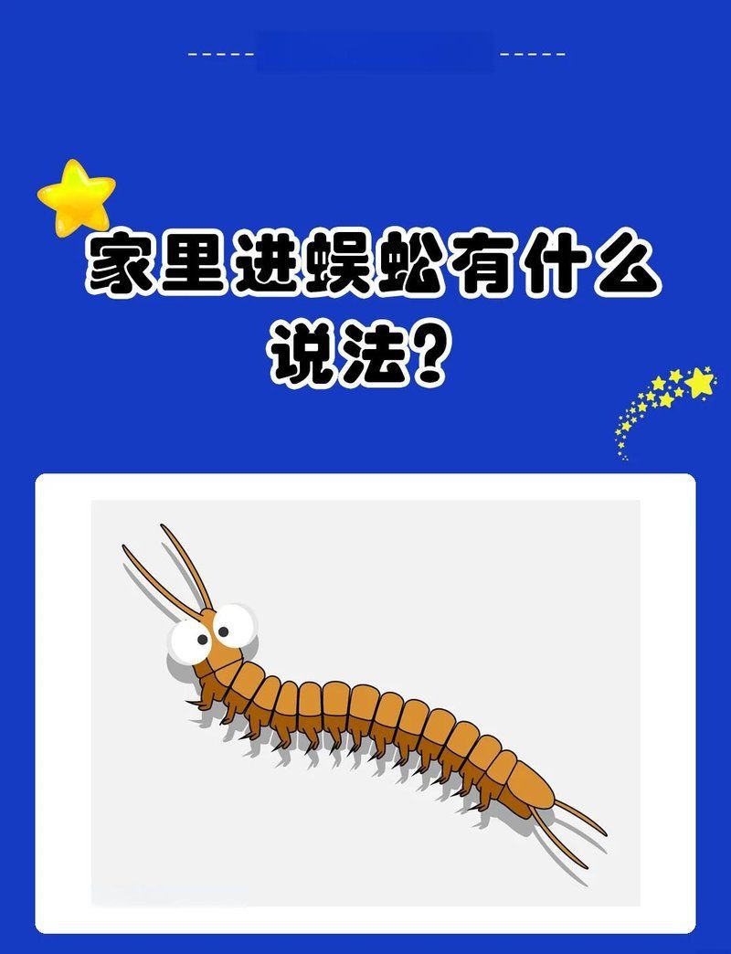 家里有一只蜈蚣要警惕，《家里有一只蜈蚣要警惕》