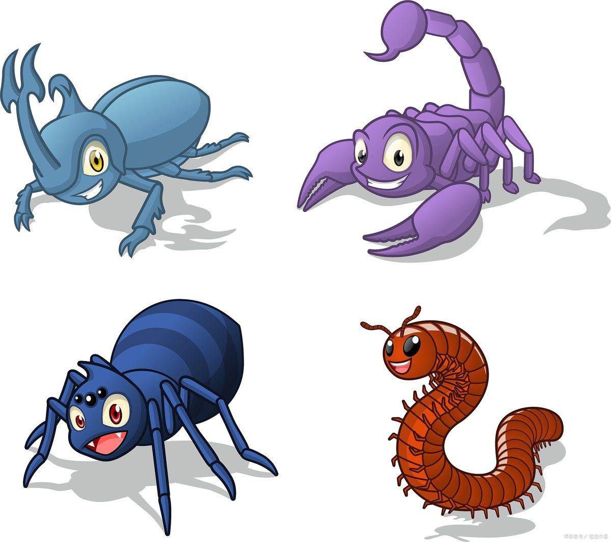 家里有一只蜈蚣要警惕，《家里有一只蜈蚣要警惕》