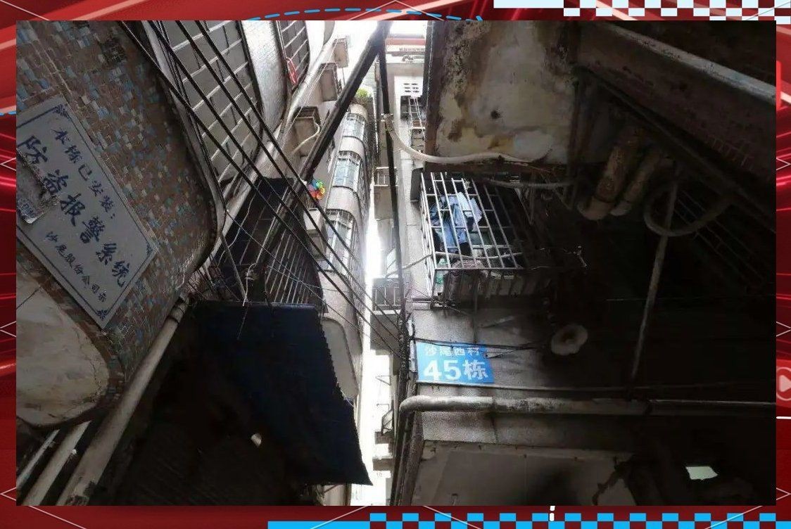 家里有一只蜈蚣要警惕，《家里有一只蜈蚣要警惕》