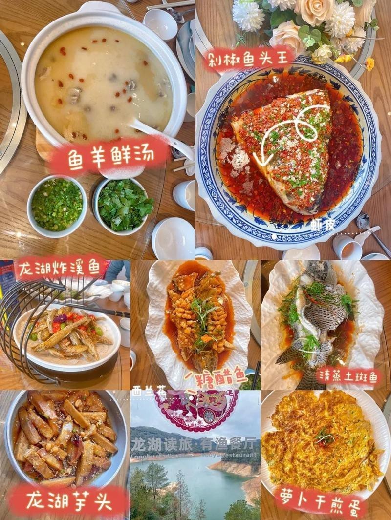 永定龍魚(yú)店，永定龍魚(yú)店是否重新開(kāi)業(yè) 永定龍魚(yú)店，永定龍魚(yú)店是否重新開(kāi)業(yè) 全國(guó)水族館企業(yè)名錄 第6張