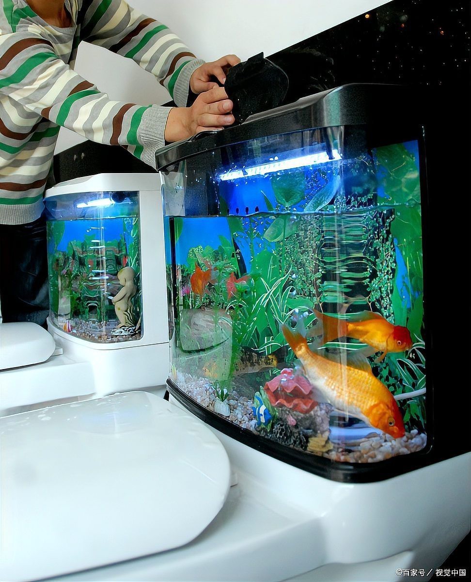 十大水族品牌性價(jià)比高，2025年\