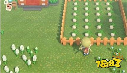 動森金礦石怎么獲得，《動物森友會》動物森友會金礦石獲取方法森金礦石獲取方法介紹